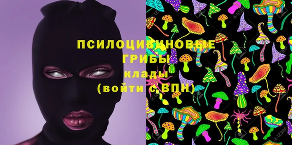 тгк Абдулино